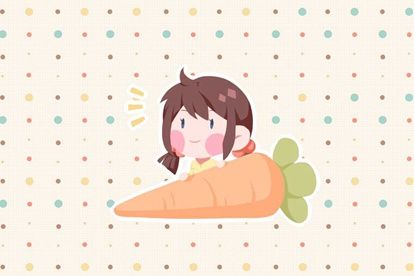 高雅的名字带蕊字 蕊字的意思及寓意