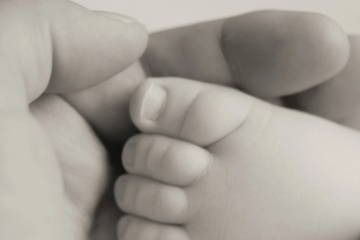 六月出生的兔宝宝名字 今年新生的小孩名字最新