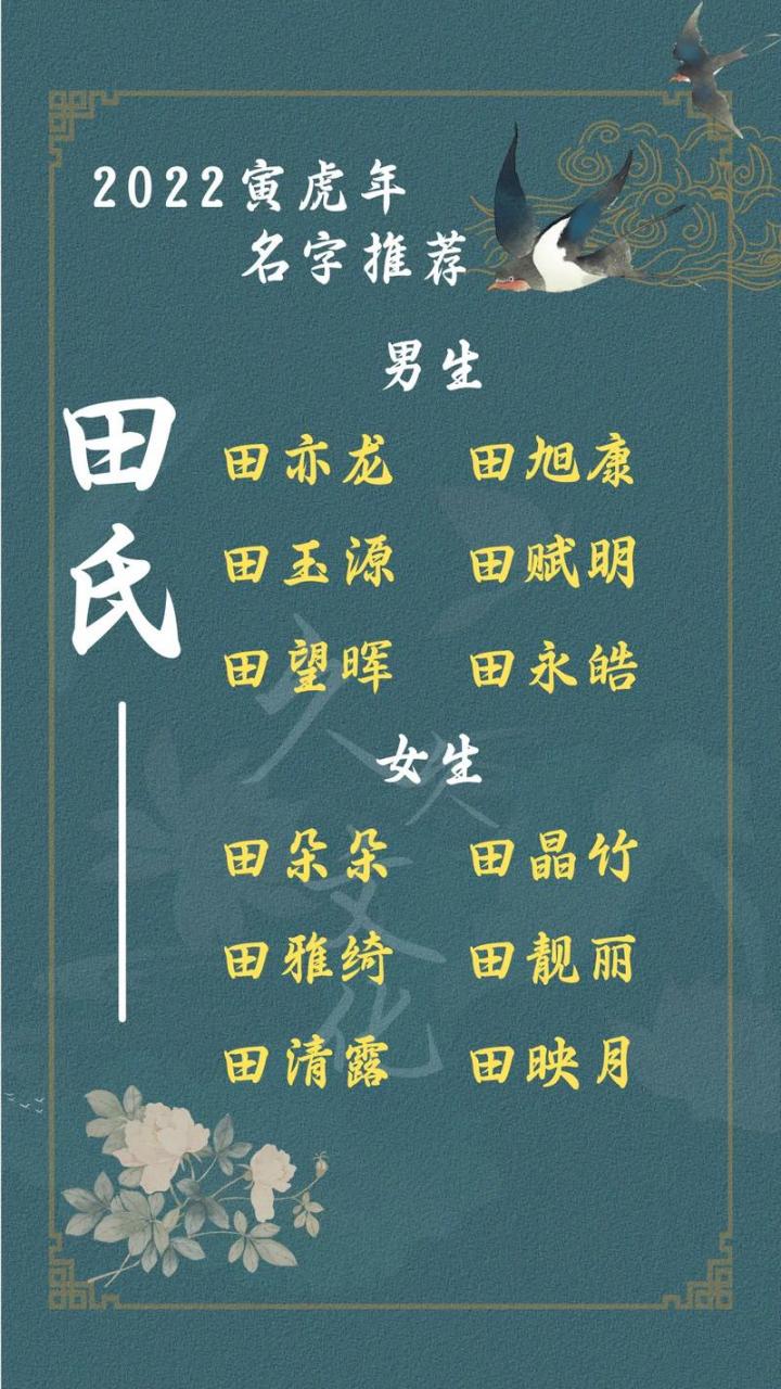 姓田的虎宝宝取名大全 田字取名100分