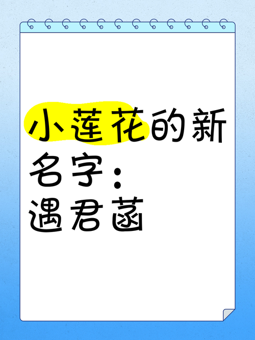 小荷花宝宝起名字寓意好吗 乳名小荷叶的寓意
