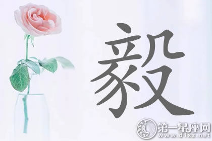 带毅字明星名字分析