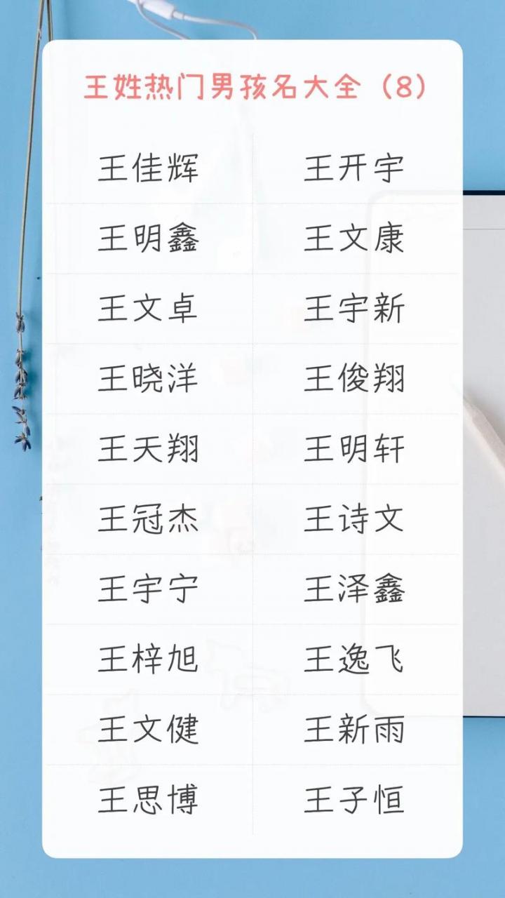 王氏宝宝取名大全男孩猪年 猪年最旺男孩名字