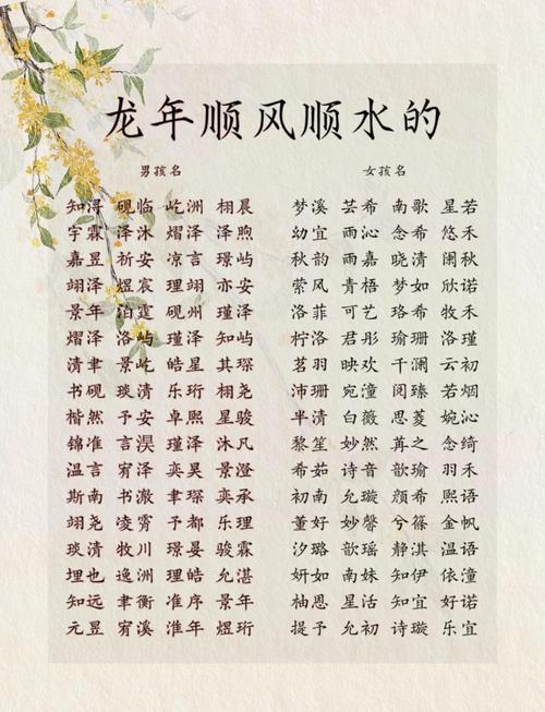 我姓龙给宝宝取名 龙姓男宝起名大全