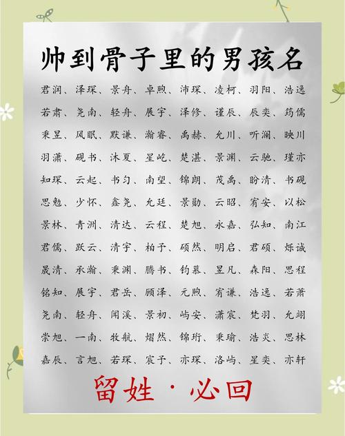 年字取名大全男宝宝 十二生肖起名书