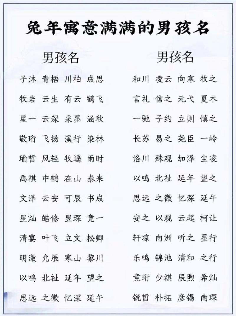 025年孙姓兔宝宝起名男