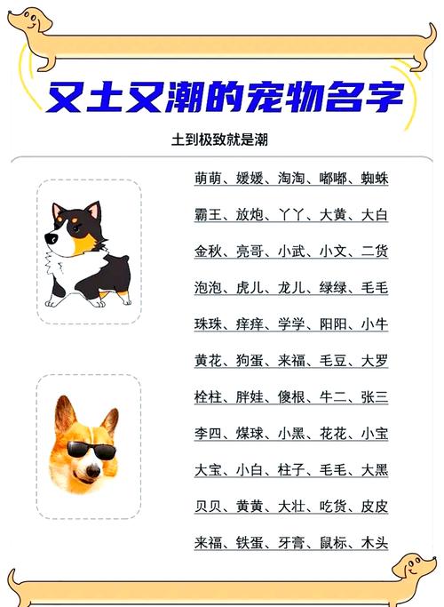 025土狗宝宝取名