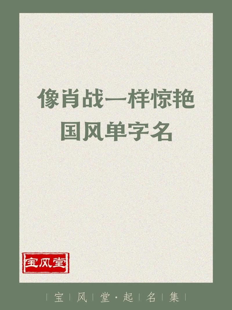 肖战一博宝宝起名 肖战的名字寓意是什么
