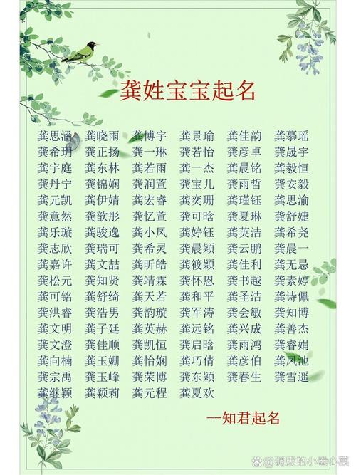 龚姓女宝宝起名2025年 龙年宝贝取名专用字典