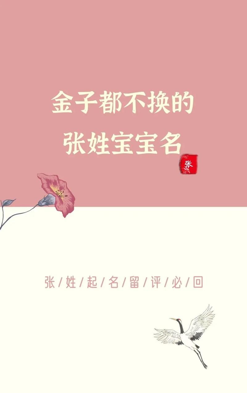张姓带金字兔宝宝取名 张姓兔宝宝男孩名字阳光大气
