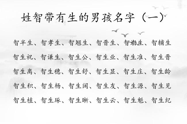 宝宝取名为智 包姓智字辈取名
