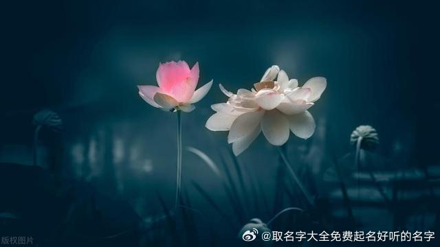 00个出自“诗经楚辞”的好名字，男孩女孩都有！【宝宝起名打分】"