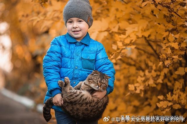 诗经楚辞男孩起名：240个智慧温润的男孩名字，个个古风【宝宝取名】