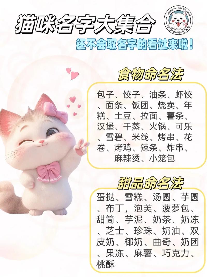 给小猫宝宝取名字 小猫虎斑取名