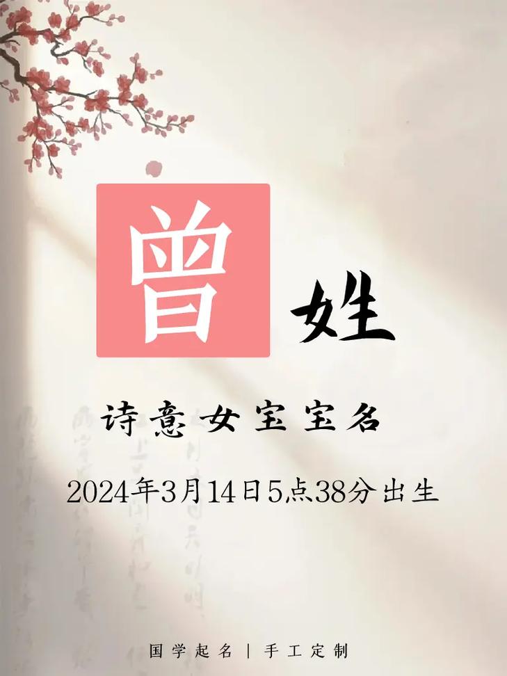 025年曾氏宝宝取名大全