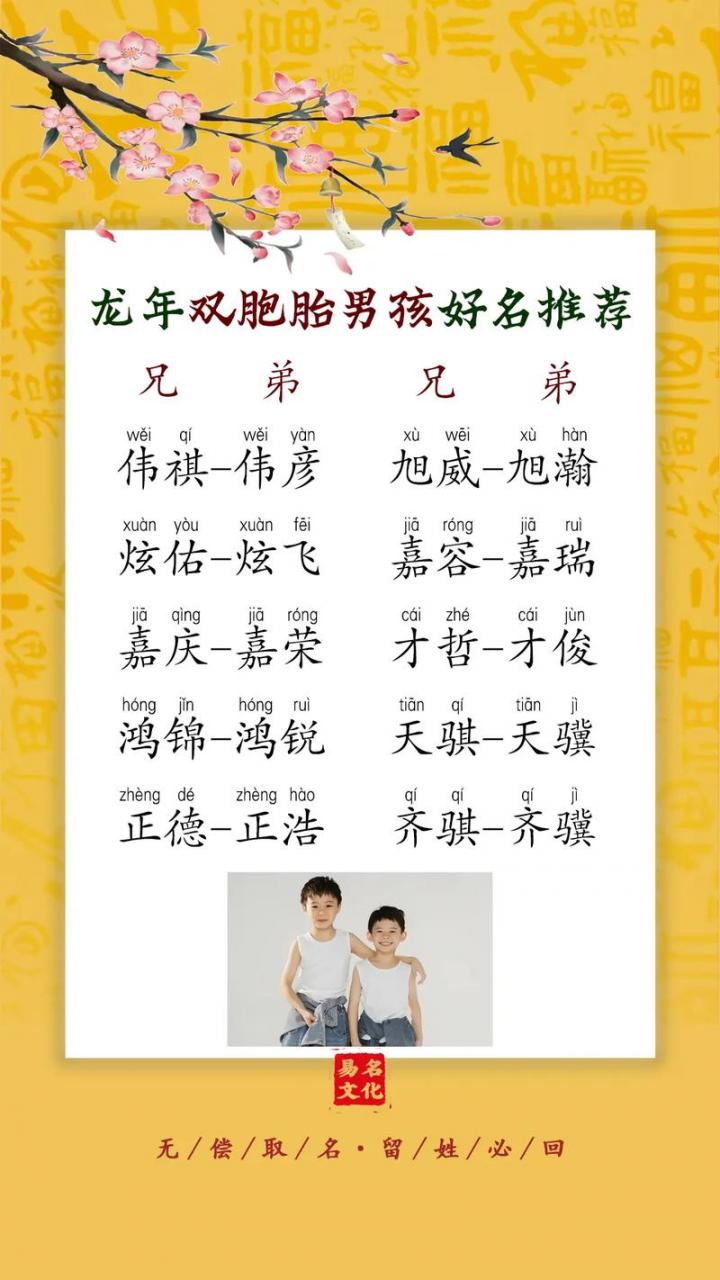 两个字龙宝宝取名 龙宝宝双胞胎起名大全