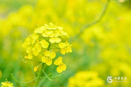 025属蛇女宝宝取名字最佳字_1"