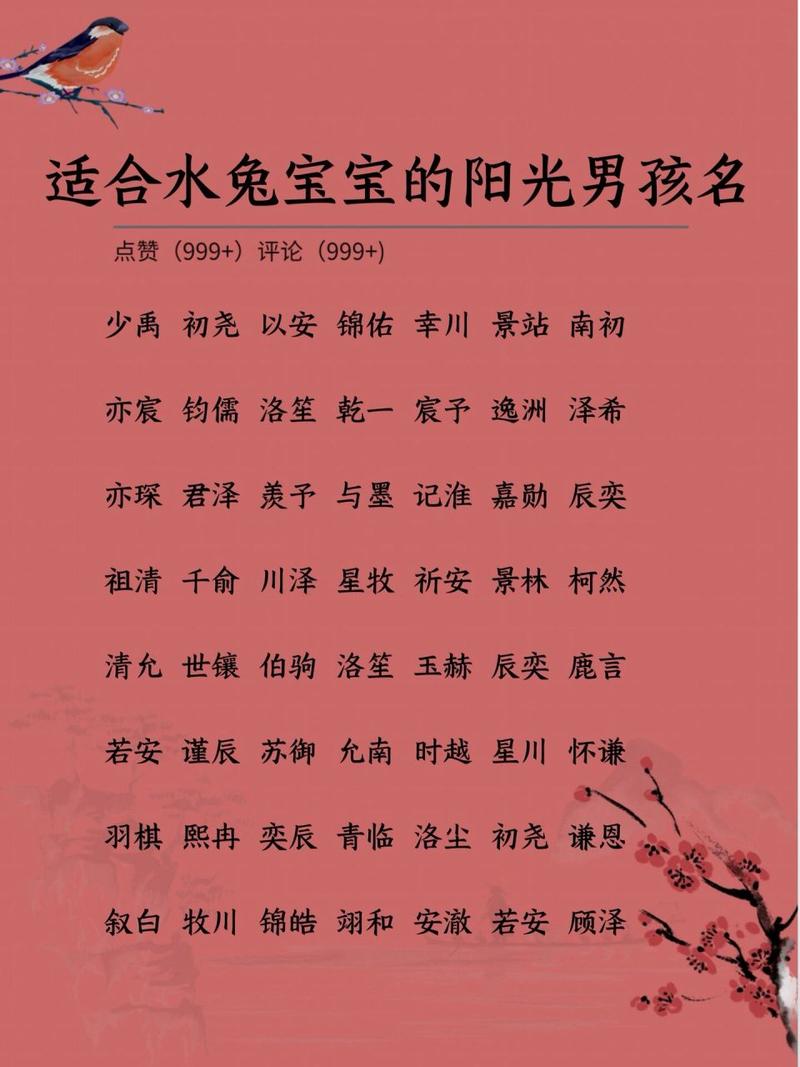 水兔男宝宝起名字大全 男兔宝宝起名大全