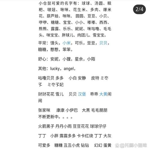 黑仓鼠取名大全女宝宝名字 仓鼠取名可爱的名字大全