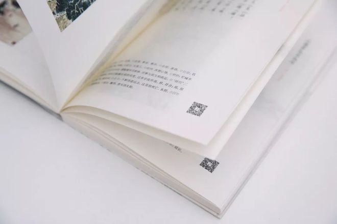 中国的诗词画作有多美？大抵是把平凡日子都过成了诗