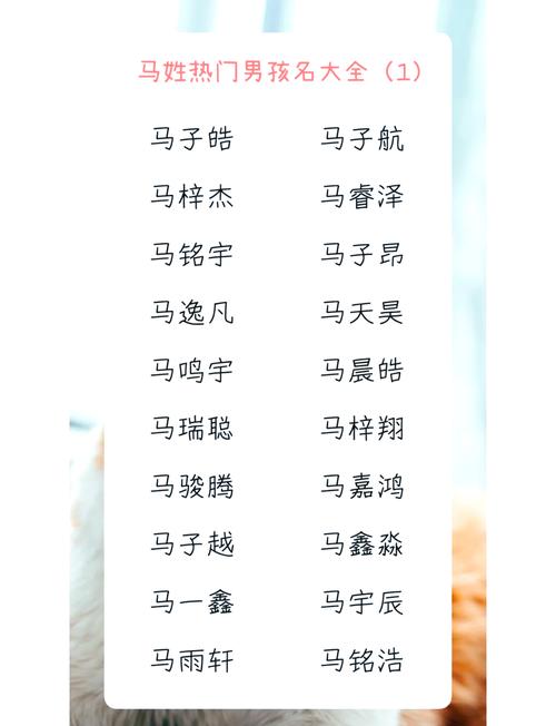 025男马宝宝取名