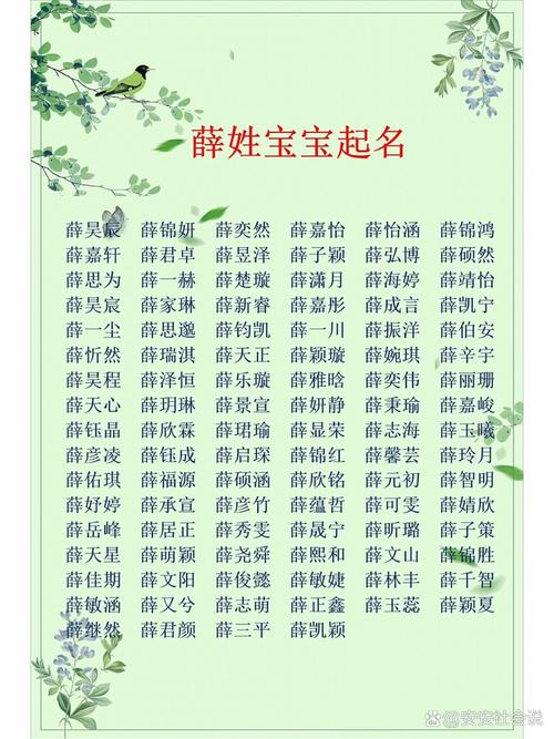 025薛姓男宝宝起名