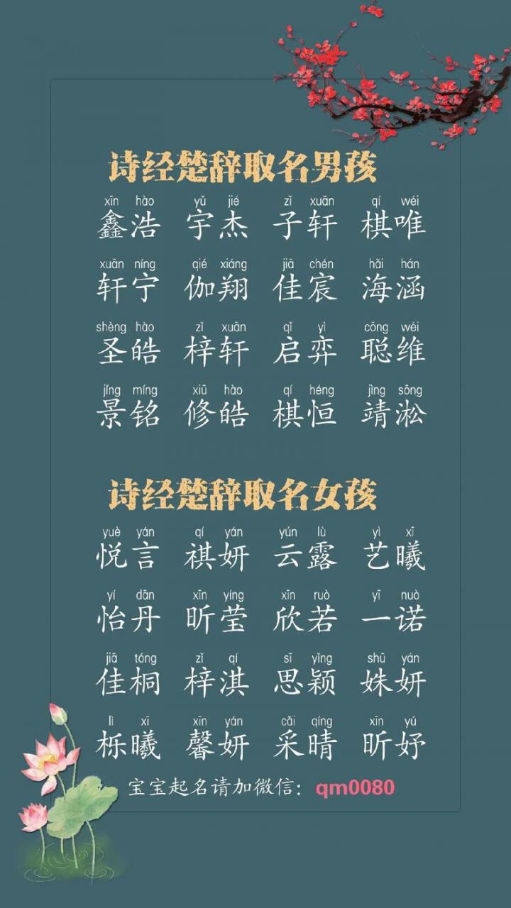 兔年男宝宝诗经楚辞取名 2025年出生宝宝取名书