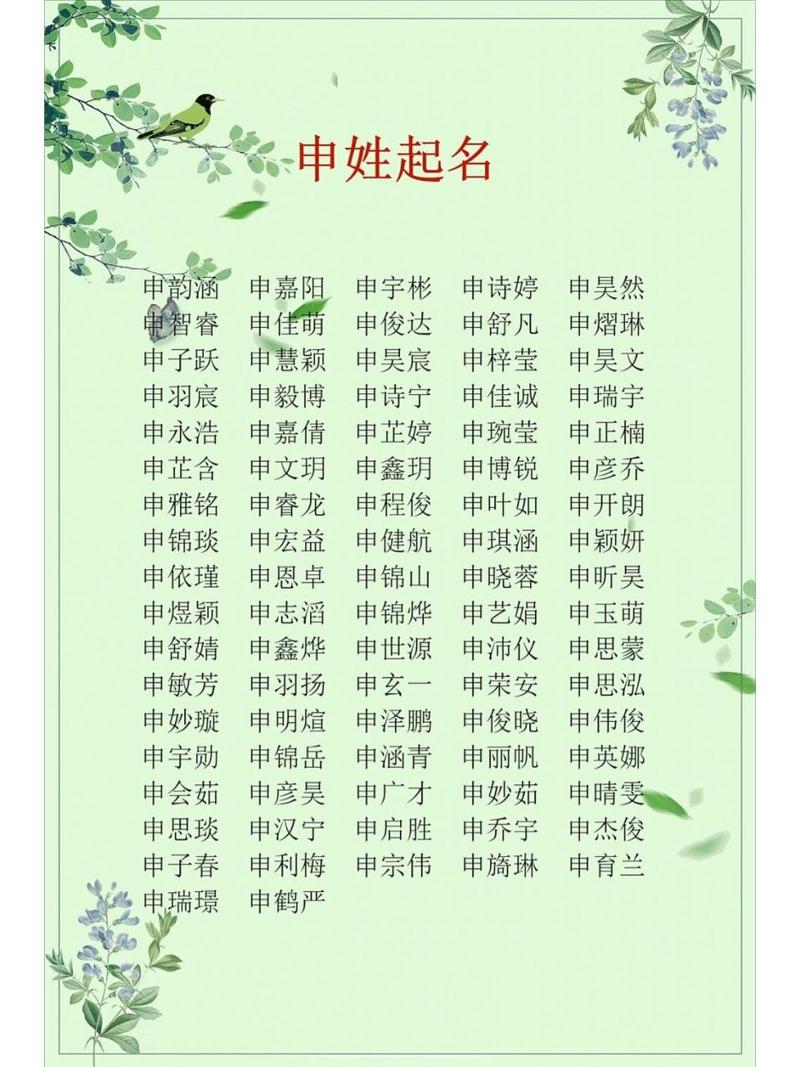 申姓男宝宝起名字 申姓霸气的名字大全