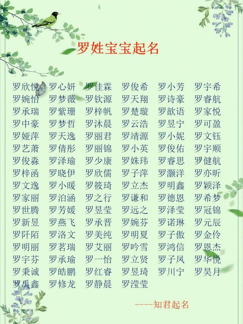 姓罗的宝宝起名两个字男孩 姓罗100分男孩名字