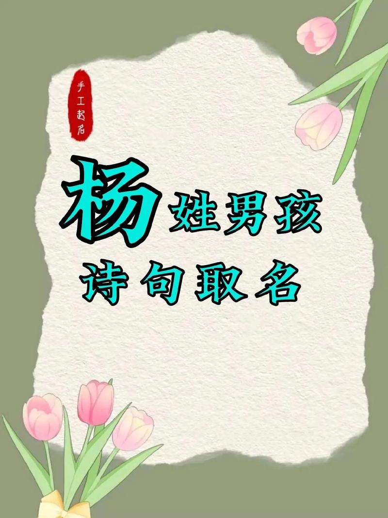 爸爸姓杨宝宝取名大全男孩 杨男孩取名