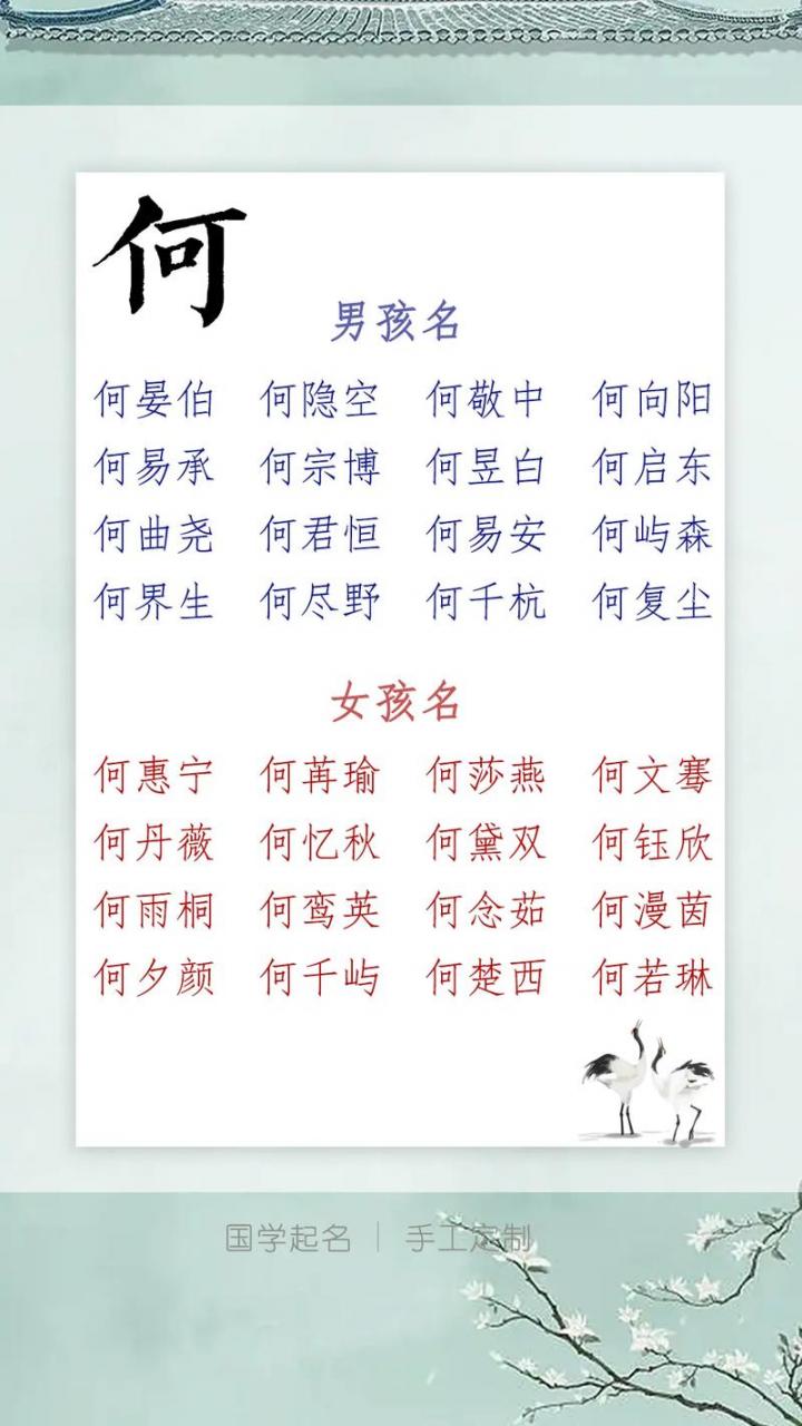 何姓氏取名虎宝宝男孩名字 姓何的男孩名字两个字大全