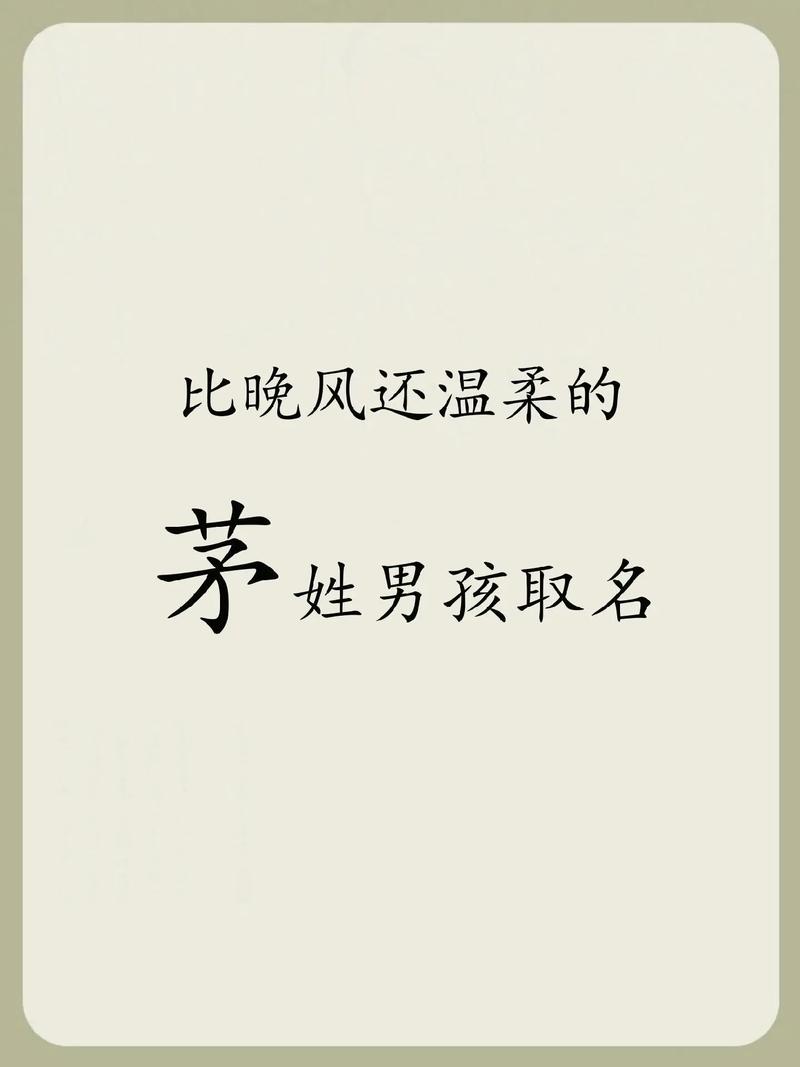 茅姓男宝宝起名大全集名字 茅取名大全两字