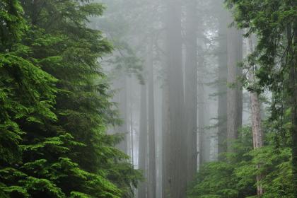 021年夏天五行属火是什么意思？夏天属火可以取什么属性的名字？"