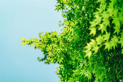 021年八月半中秋节出生的五行缺金女孩起名大全！"