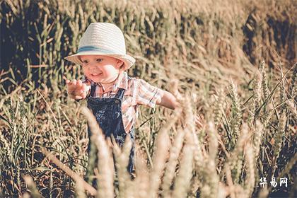 022年万圣夜出生的属虎男孩名字大全集"