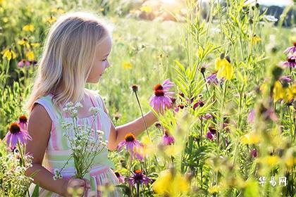 022年廿八酉时出生的属虎人取名字简单顺口的"