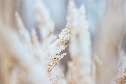 021端午节出生的五行缺火起名推荐,取名带什么字好"