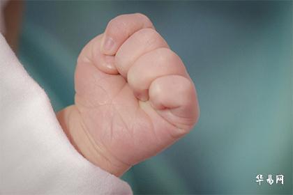 023年2月4日立春卯时出生起名字寓意阳光活泼"