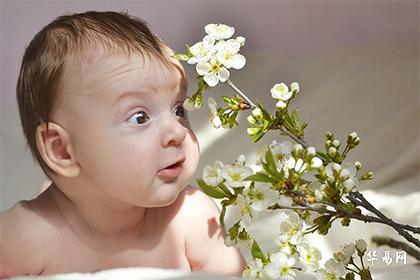 022年十一月初九出生的男孩儿简单好听的名字大全"