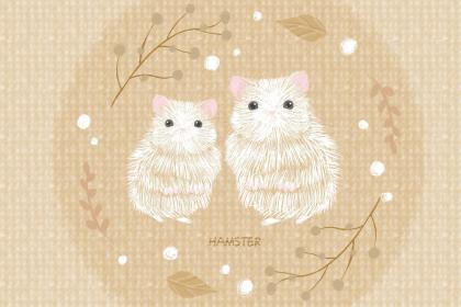 020年中秋节出生的宝宝起名忌用字？鼠宝宝起名禁忌？"