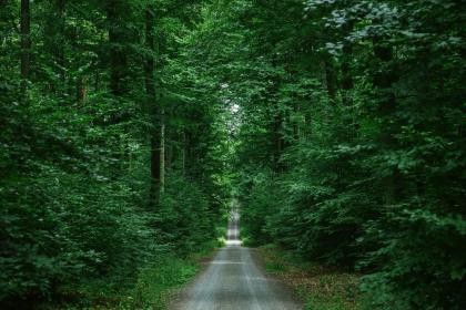 金命龙男取什么名字最旺？五行属金吉利简单好听的字