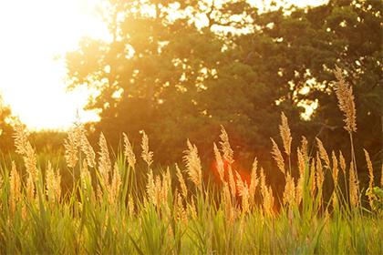 022年小年出生五行缺金的男孩起名推荐"