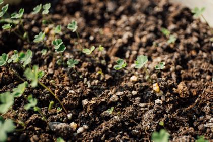 021年夏天出生五行属性是什么？起什么名字好？"