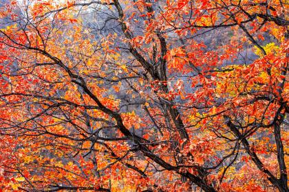 立秋出生的女孩取名字，蕴含诗意好听的名字