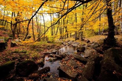 022年4月23日出生的五行缺金的女孩名字"