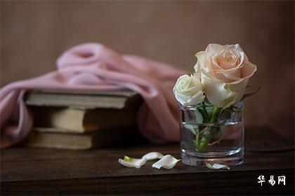 强姓氏起源出自哪里？作为姓氏强怎么读