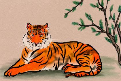 022年缺土的虎宝宝男孩取名适合带什么字？"