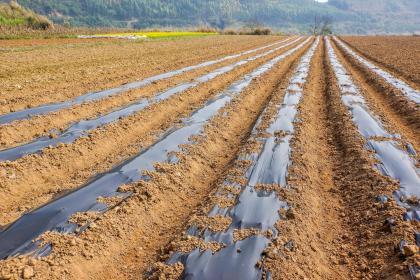 019年7月16号出生的双胞胎男孩起什么名字比较好，五行属什么"