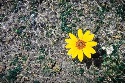 019年9月14号巳时出生的男孩如何起取个独特的名字，五行属什么"