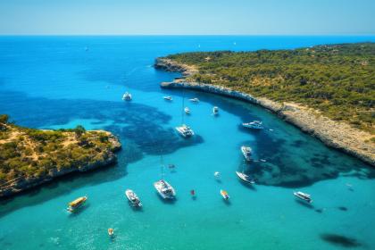 019年7月5号酉时出生的女孩起什么名字好，五行是什么？"