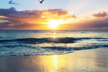 019猪年霜降出生的女孩五行缺木要怎么起名字"